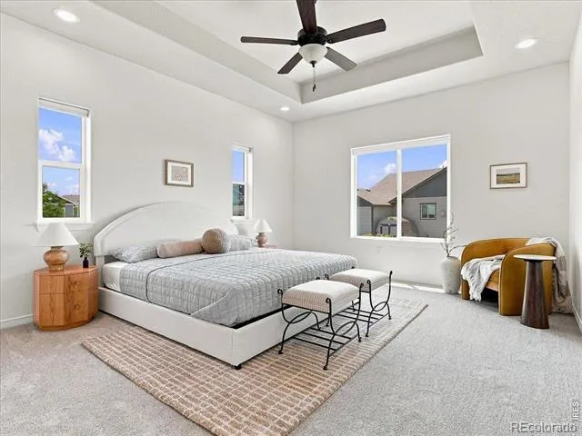 1381 Larimer Ridge Parkway Timnath, CO 80547