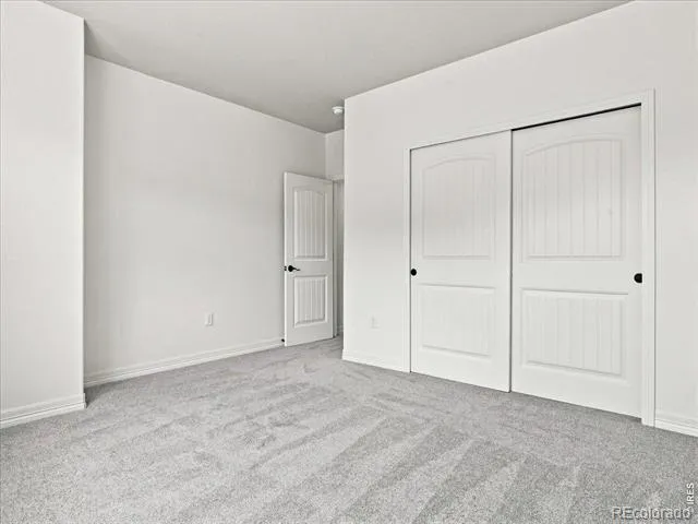 1381 Larimer Ridge Parkway Timnath, CO 80547