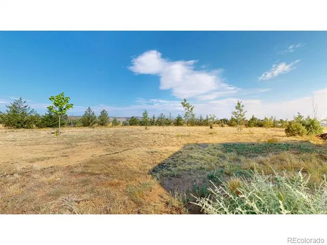 2425 W Blevins Street Fort Collins, CO 80524