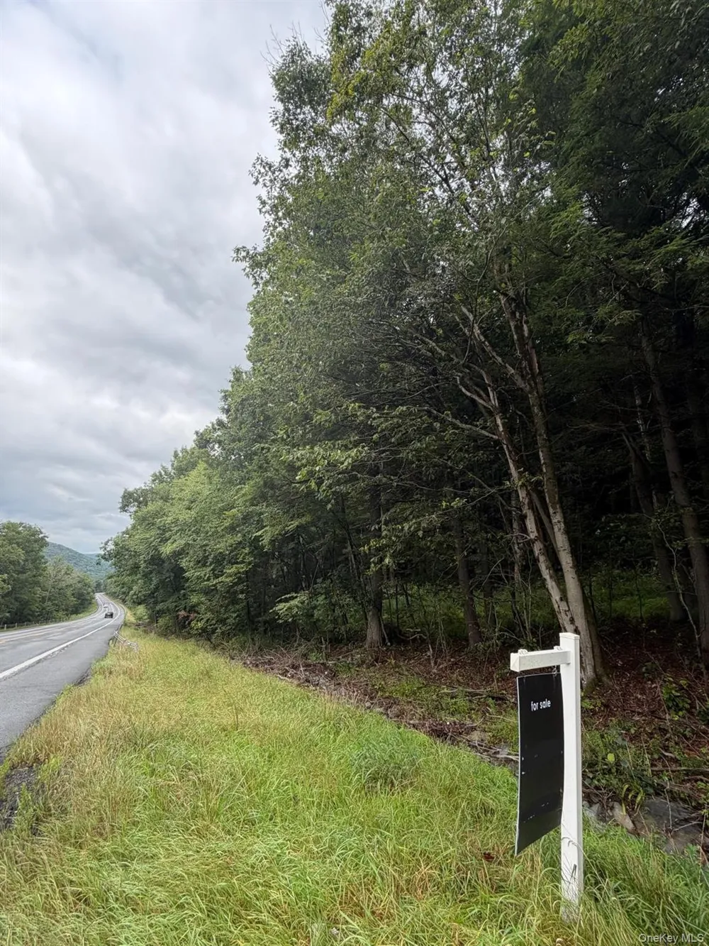 0 State Highway 97 Hancock, NY 13783
