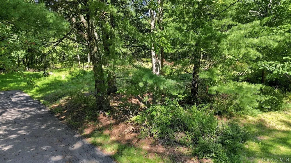 36 Spruce Street W Wurtsboro, NY 12790