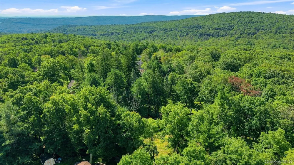 36 Spruce Street W Wurtsboro, NY 12790