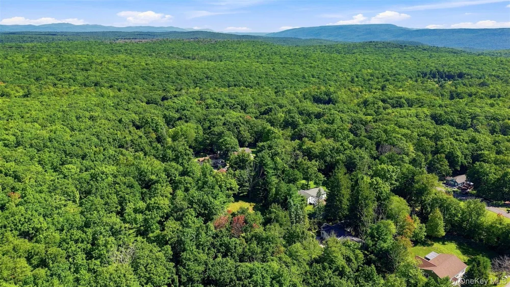 36 Spruce Street W Wurtsboro, NY 12790