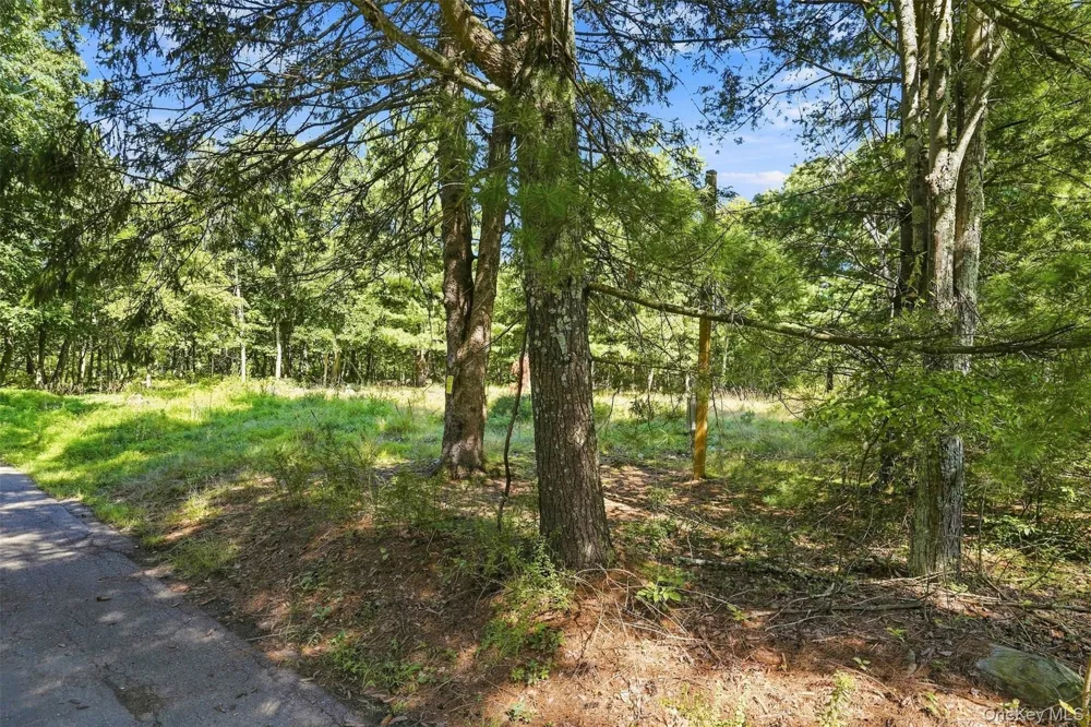 36 Spruce Street W Wurtsboro, NY 12790