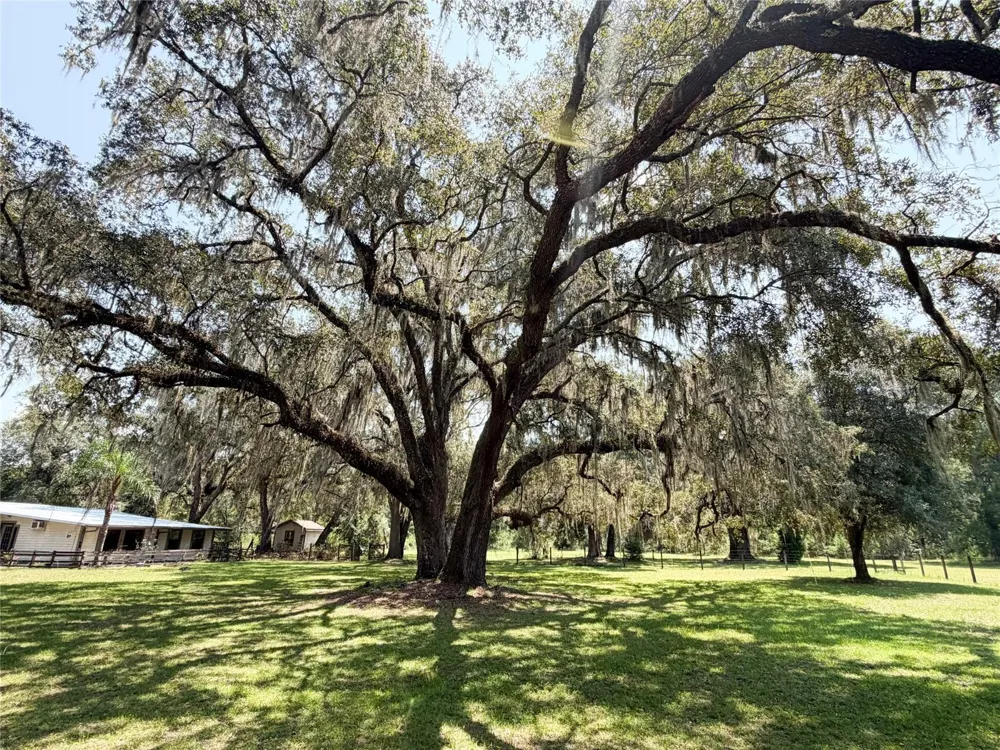 28622 STATE ROAD 121 Alachua, FL 32615