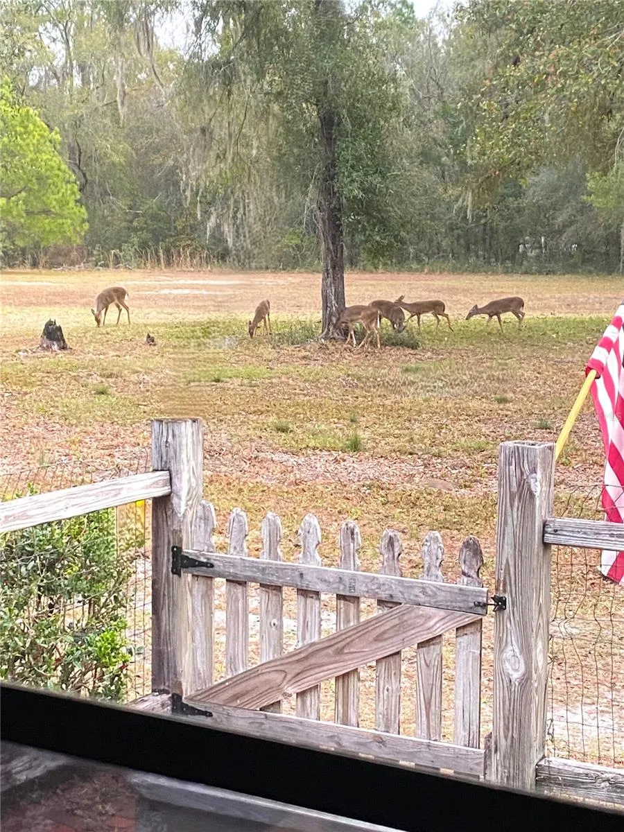 28622 STATE ROAD 121 Alachua, FL 32615