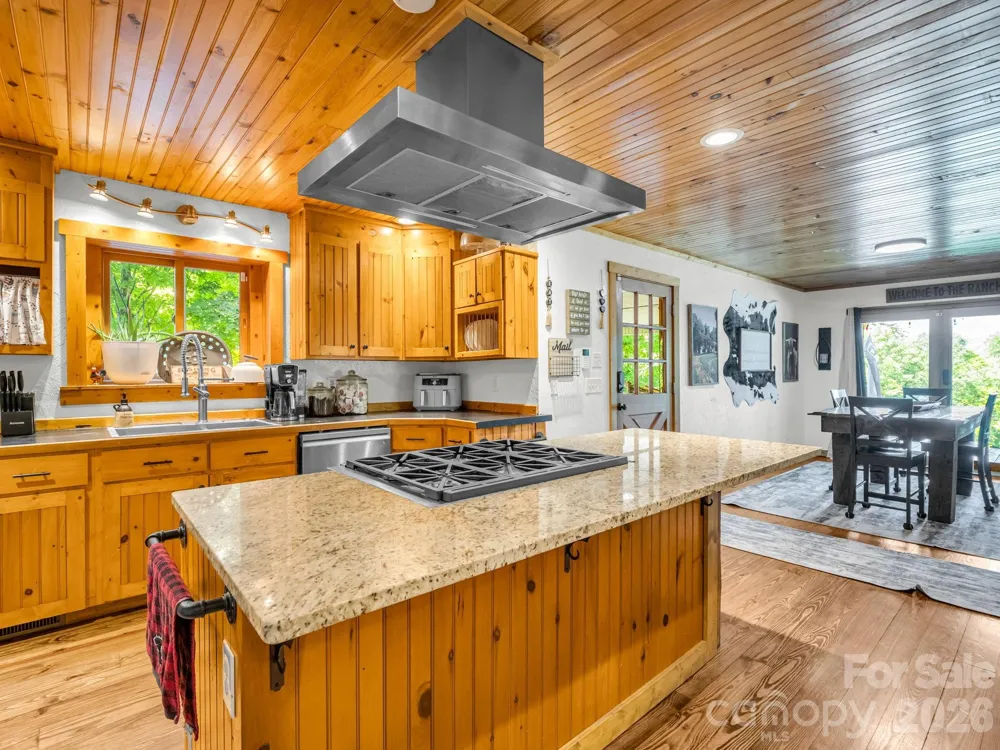 209 Chrysalis Lane Lake Lure, NC 28746