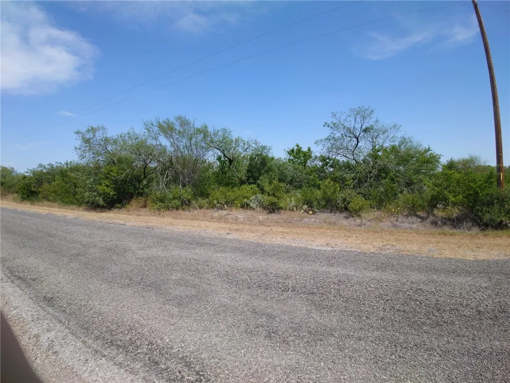 County Road 3033 Orange Grove, TX 78372