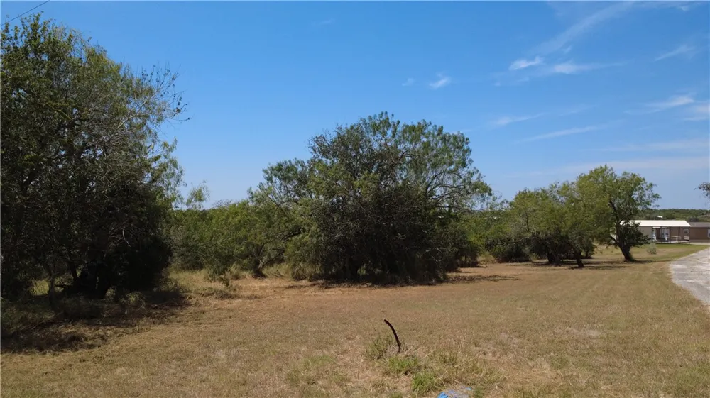 125 Lago Dr Sandia, TX 78383