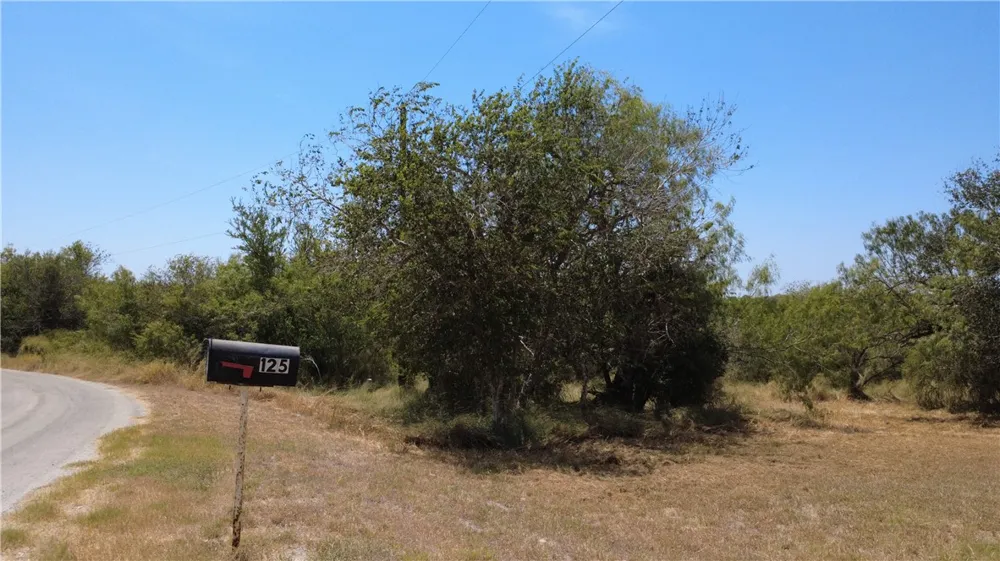 125 Lago Dr Sandia, TX 78383