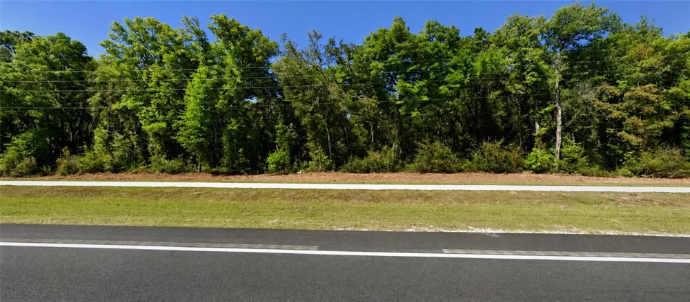 34357 CORTEZ BOULEVARD Dade City, FL 33523