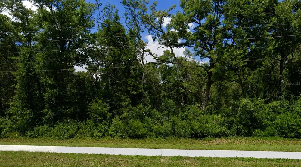 34357 CORTEZ BOULEVARD Dade City, FL 33523