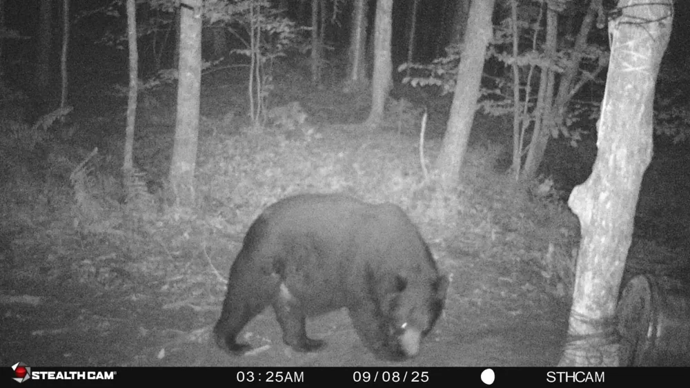 VL-1 Norwich Rd. Ontonagon, MI 49953