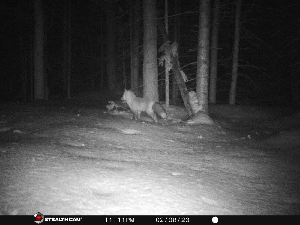 VL-1 Norwich Rd. Ontonagon, MI 49953