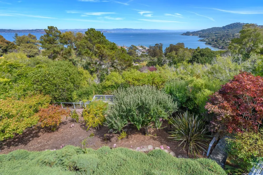 4633 Paradise Drive Tiburon, CA 94920