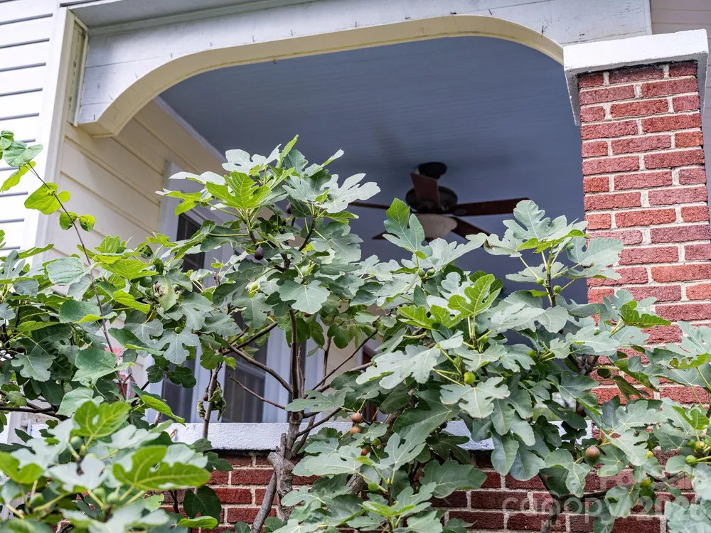 33 Fairfax Avenue Asheville, NC 28806