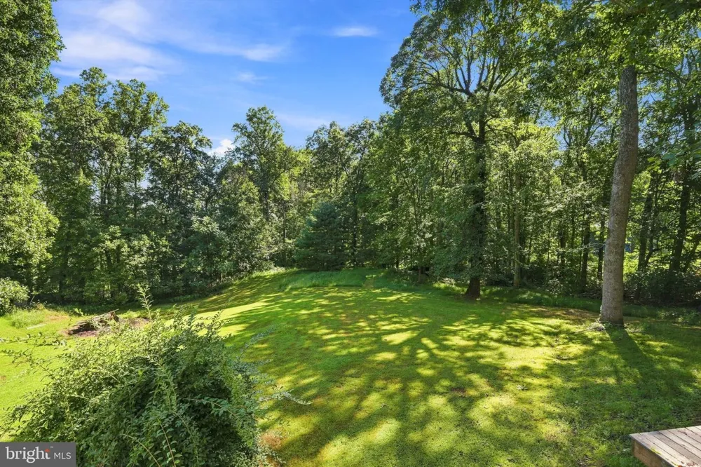 14105 REVA ROAD Boston, VA 22713