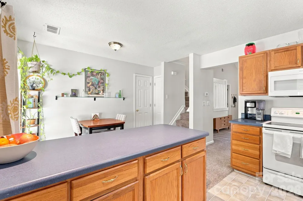 10171 Reindeer Way Lane Charlotte, NC 28216