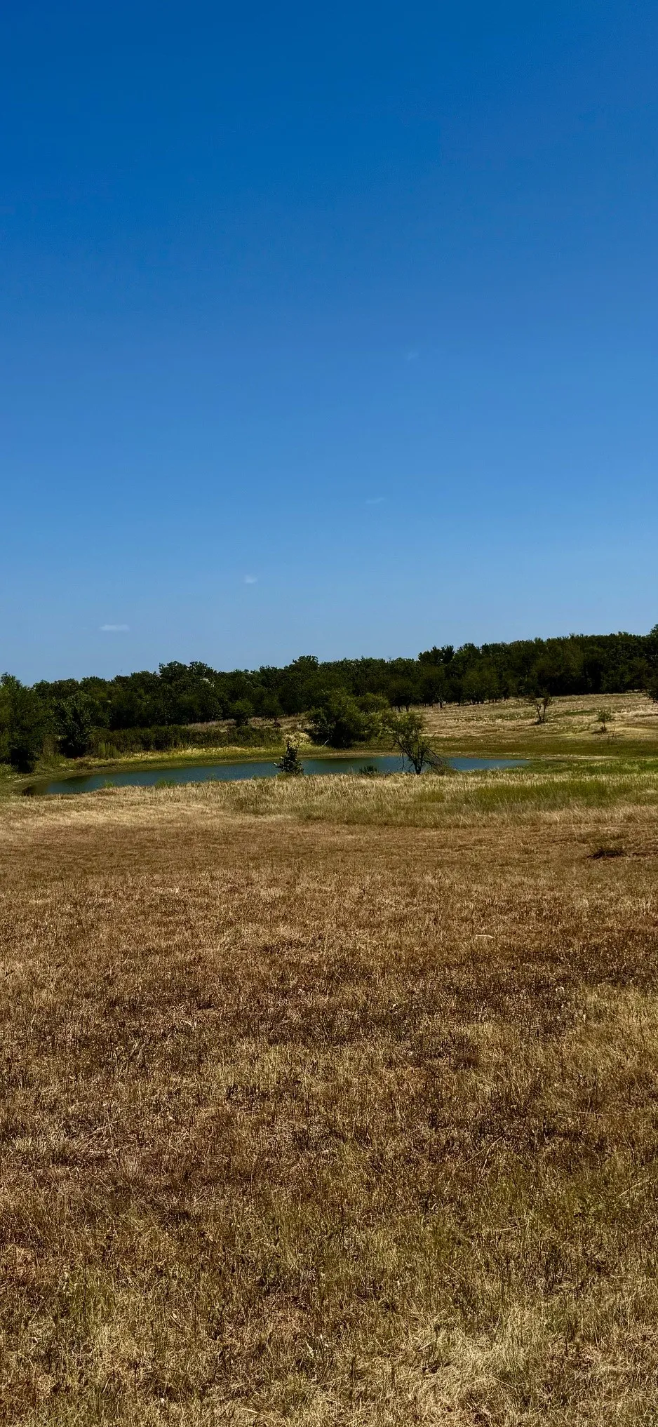 2005 Hilltop Cove Springtown, TX 76082