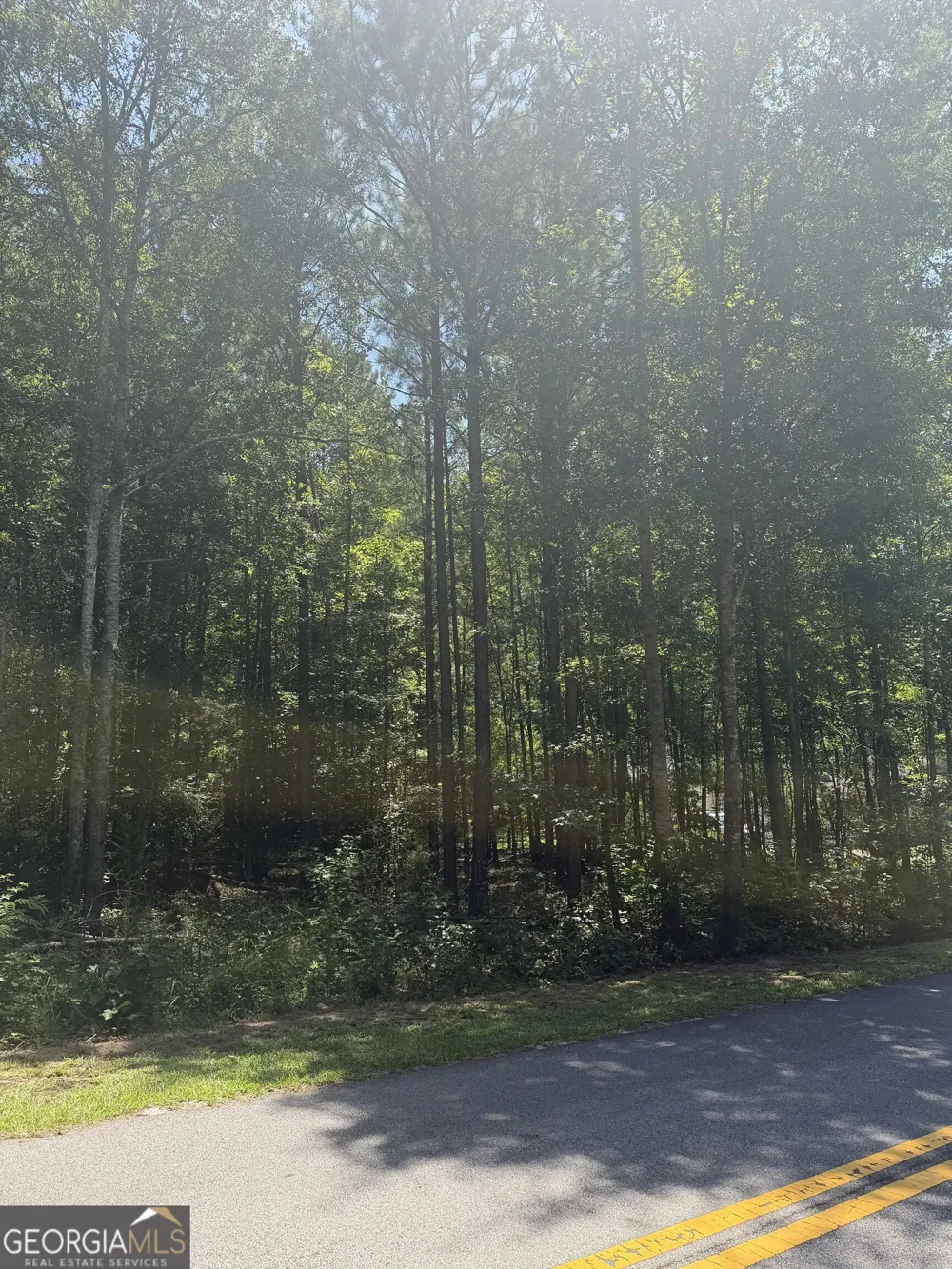 0 Opal ST Luthersville, GA 30251