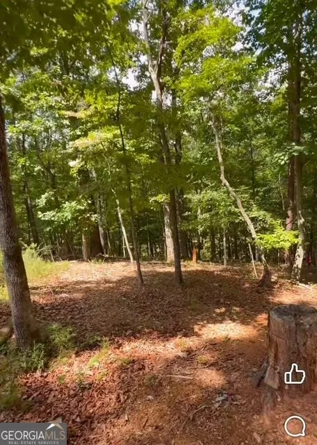 0 Rusty G Pl Dawsonville, GA 30534
