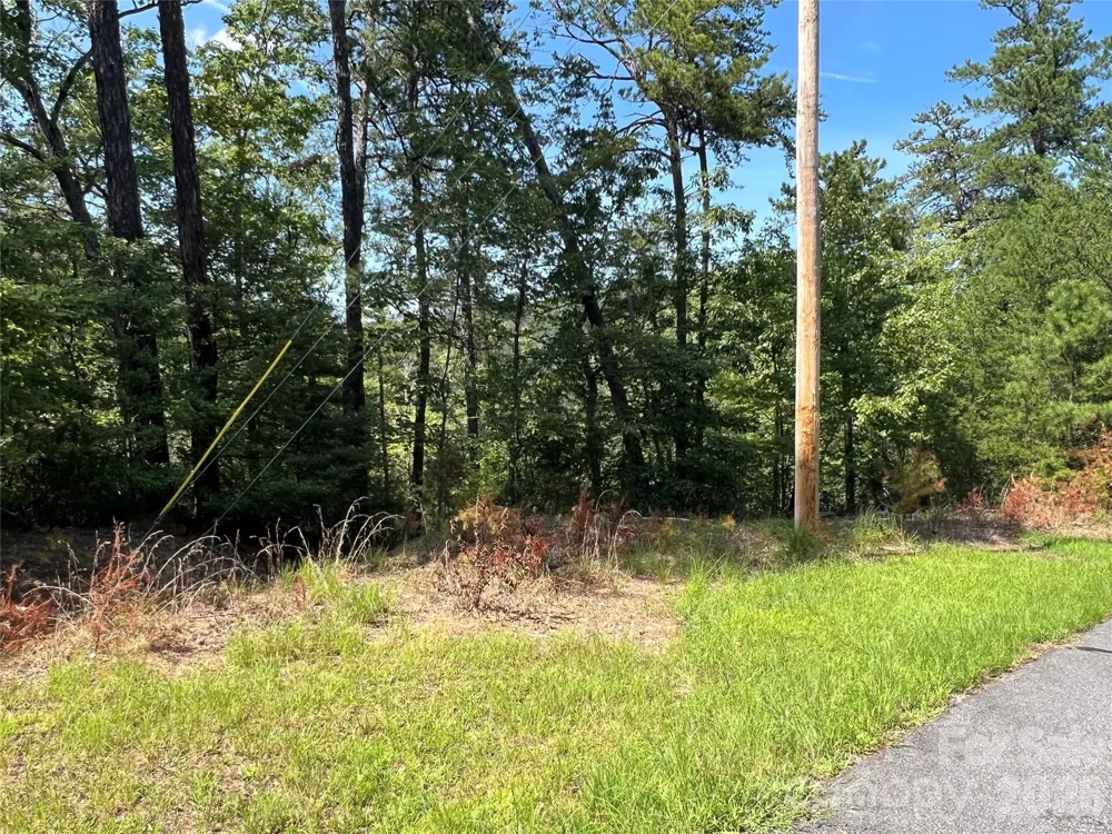 0 Brighton Drive #226 Bostic, NC 28018