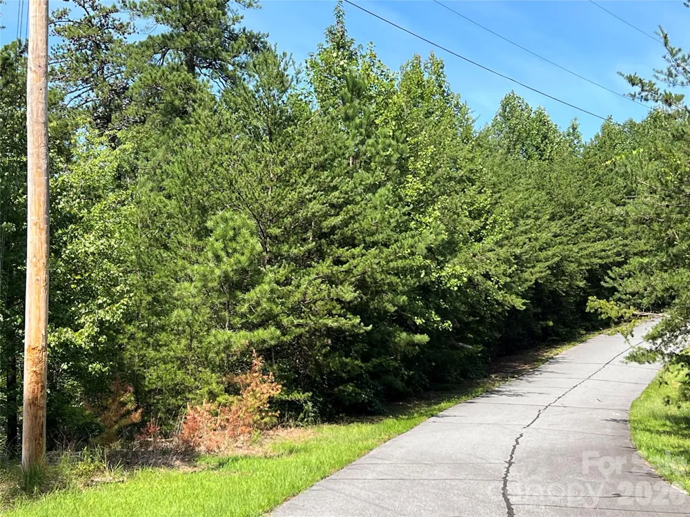 0 Brighton Drive #226 Bostic, NC 28018