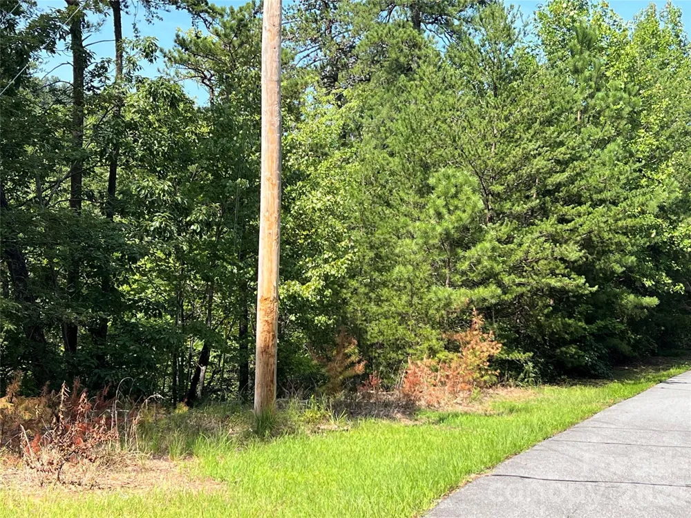 0 Brighton Drive #226 Bostic, NC 28018