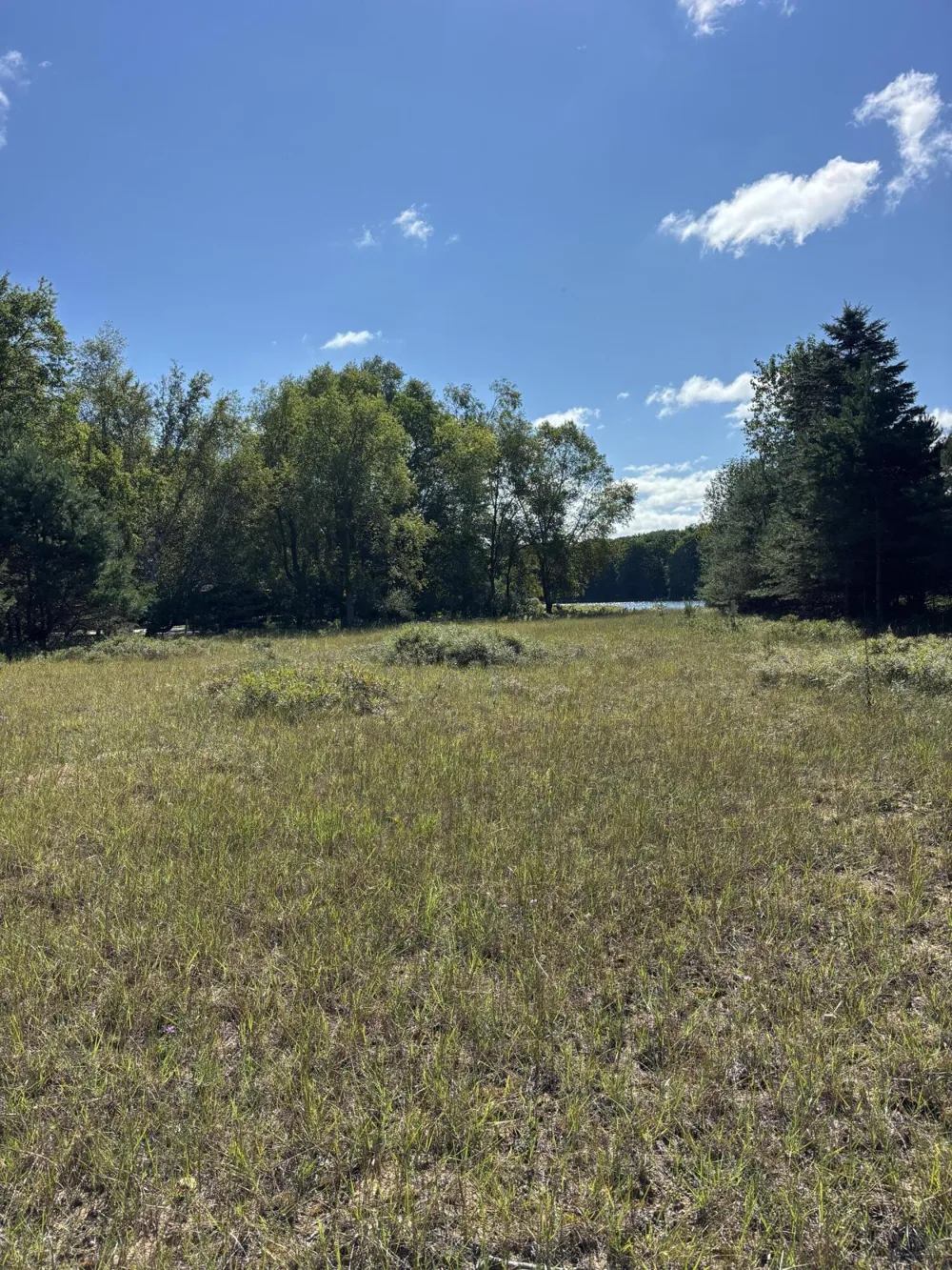 6609 Donegal Court Canadian Lakes, MI 49346