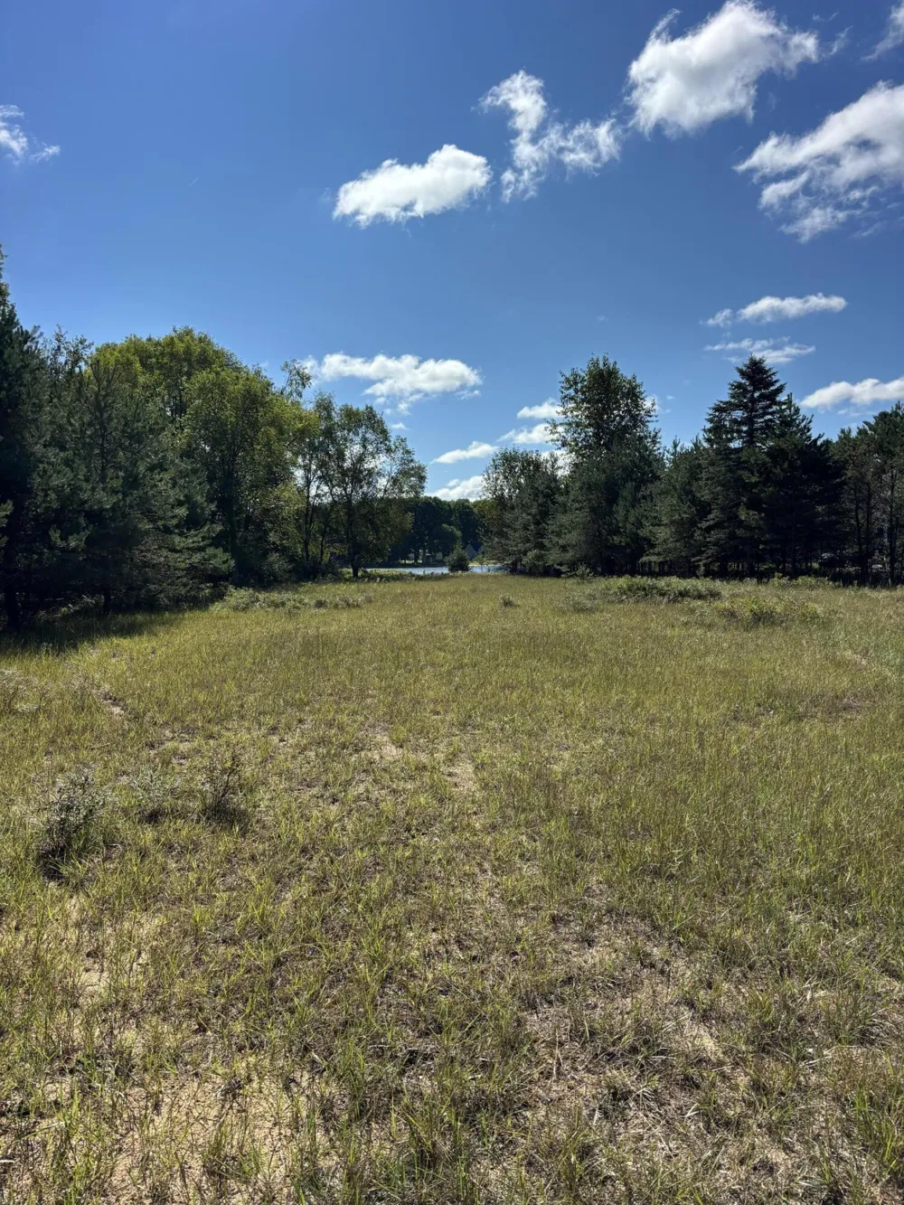 6609 Donegal Court Canadian Lakes, MI 49346
