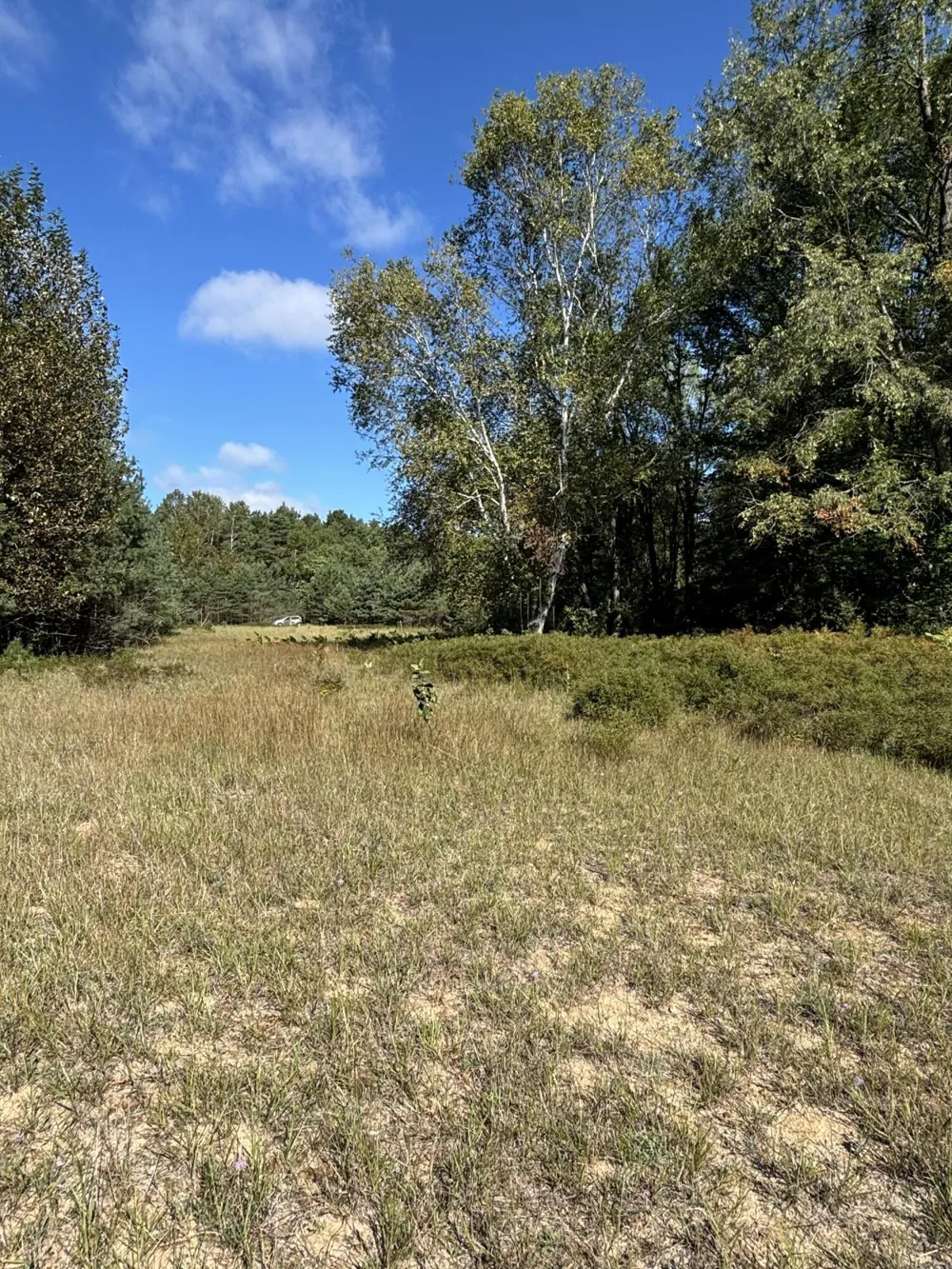 6609 Donegal Court Canadian Lakes, MI 49346