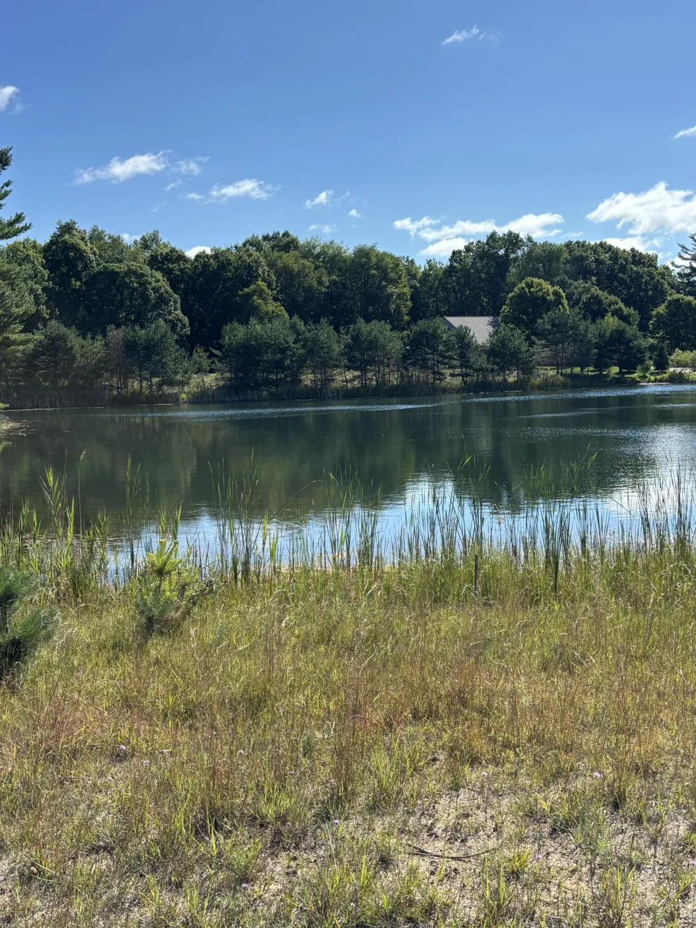 6609 Donegal Court Canadian Lakes, MI 49346