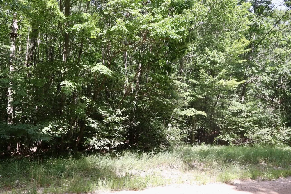 7 Mile Road Evart, MI 49631