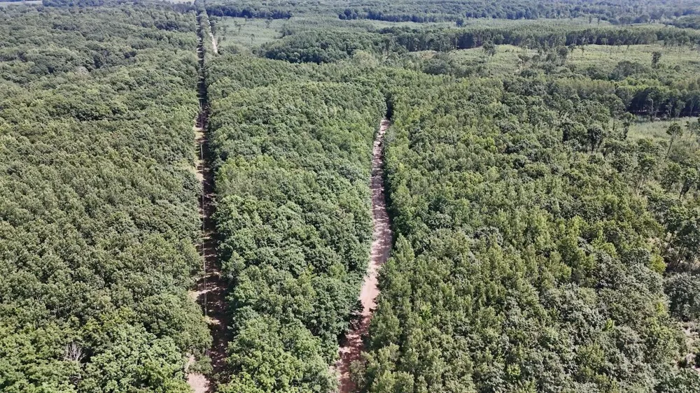 7 Mile Road Evart, MI 49631