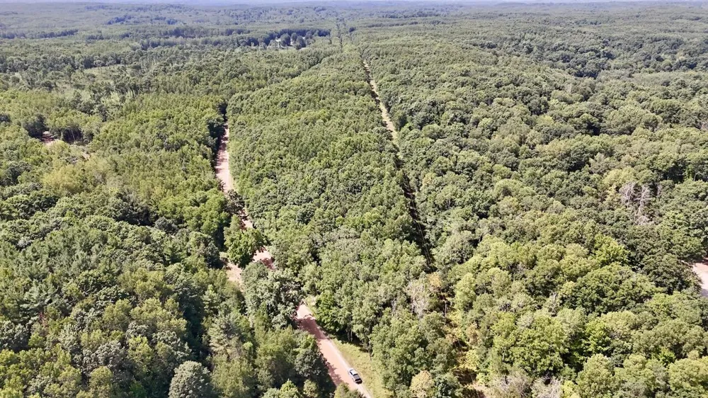7 Mile Road Evart, MI 49631