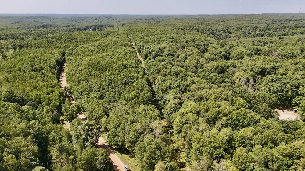 7 Mile Road Evart, MI 49631