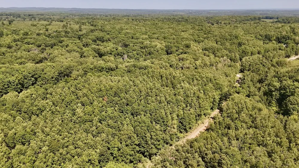 7 Mile Road Evart, MI 49631