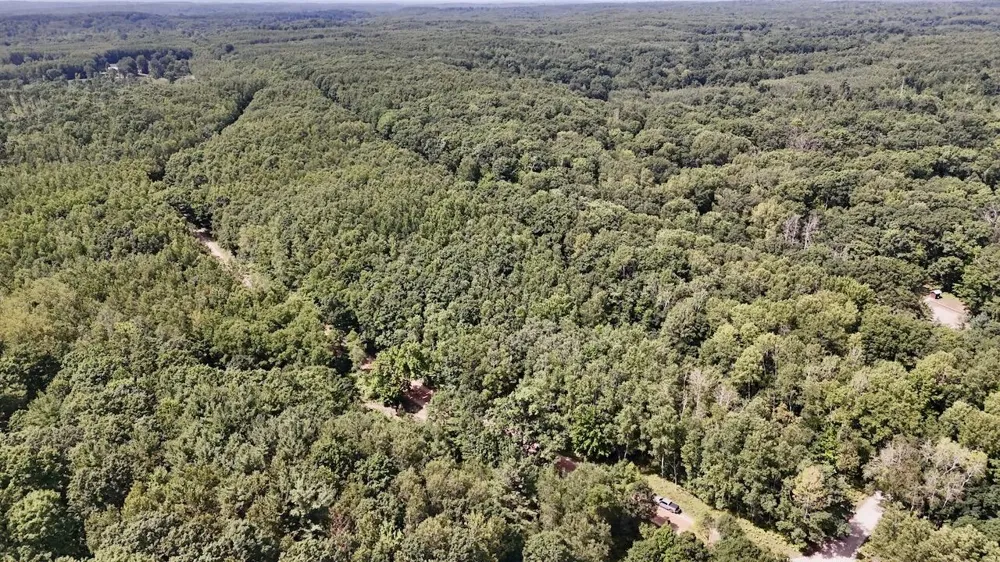7 Mile Road Evart, MI 49631