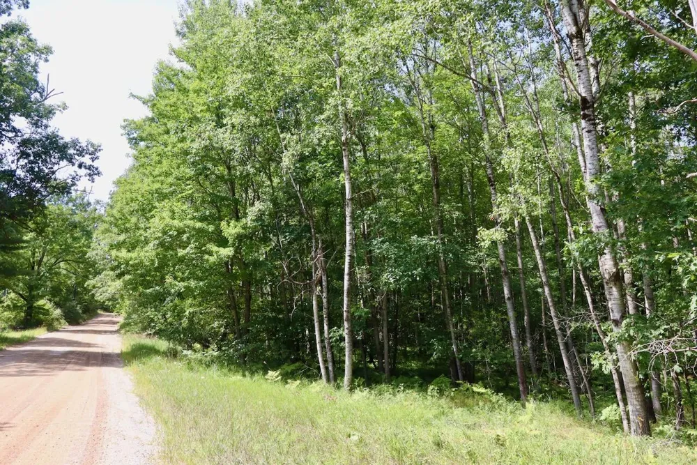 7 Mile Road Evart, MI 49631