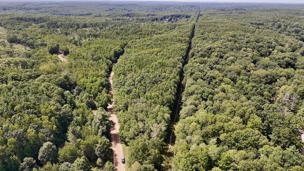 7 Mile Road Evart, MI 49631