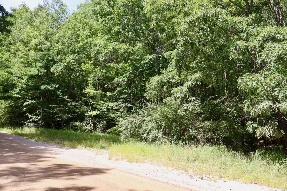 7 Mile Road Evart, MI 49631