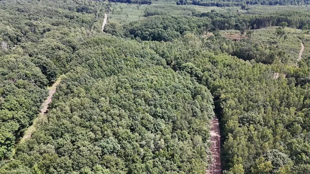 7 Mile Road Evart, MI 49631