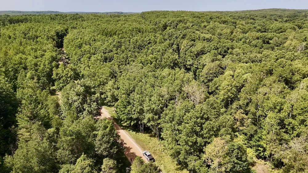 7 Mile Road Evart, MI 49631
