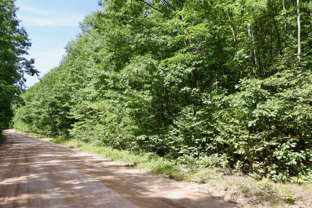 7 Mile Road Evart, MI 49631