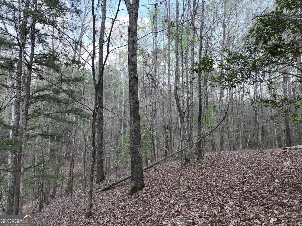 195 County Line RD Lumpkin, GA 31815