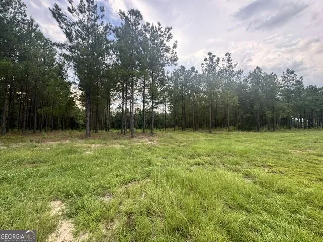0 Dewey Thomas RD Dexter, GA 31019
