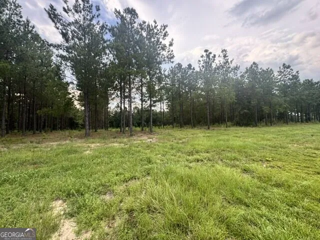 0 Dewey Thomas RD Dexter, GA 31019