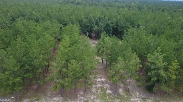 0 Dewey Thomas RD Dexter, GA 31019