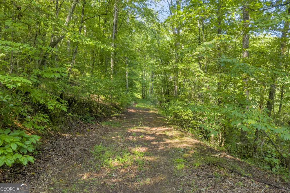 0 Waters Edge TRL Talking Rock, GA 30175