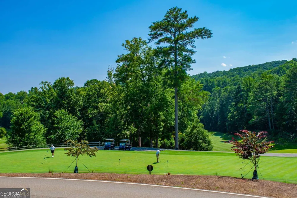 40 Treetopper LN Jasper, GA 30143